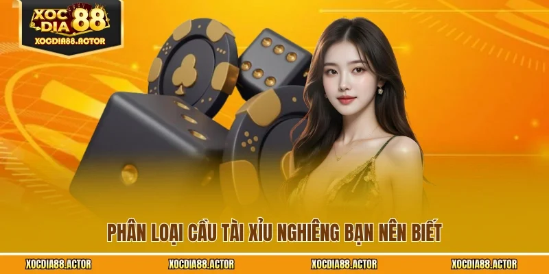 Phân loại cầu tài xỉu nghiêng bạn nên biết